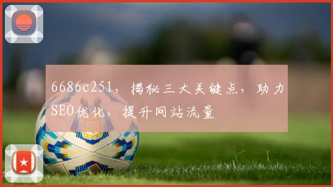 6686c251，揭秘三大关键点，助力SEO优化，提升网站流量